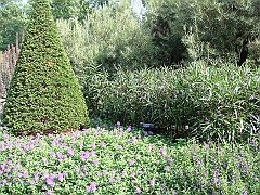 159 Longwood Gardens [2008 August 23]